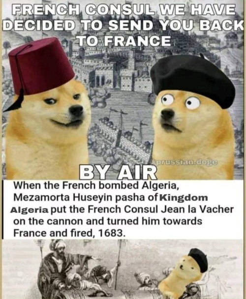 History Memes #7