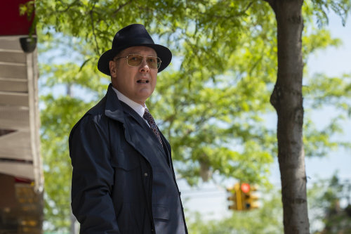 Official Gallery for Episode 8.20 (Part 1 of 2)“THE BLACKLIST”“GODWIN PAGE”O