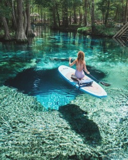 gravitysunion:  earth:  Ginnie Springs in Florida @   On my list to visit 
