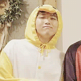 chaootic:  a wild duck appeared~ 🐥 