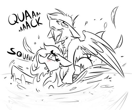duckponies:Indecent duckery!Meeps O///o;;
