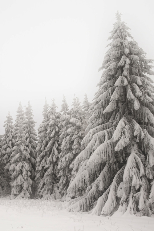 atraversso:  snow