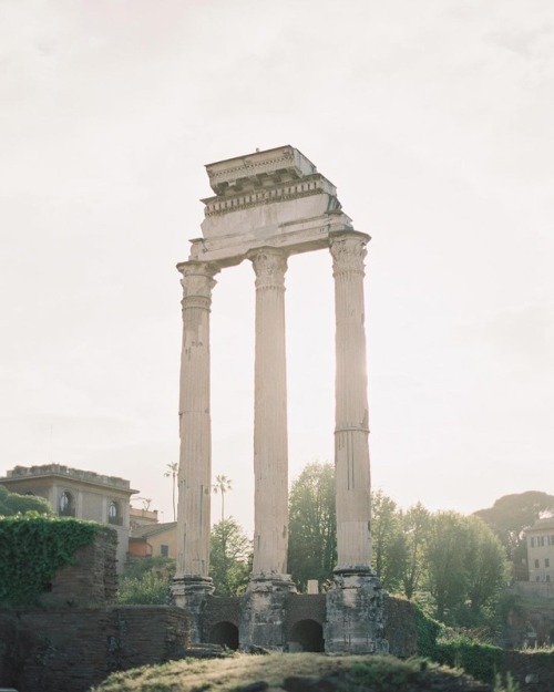 andantegrazioso:Roman forum | kurtboomerphoto