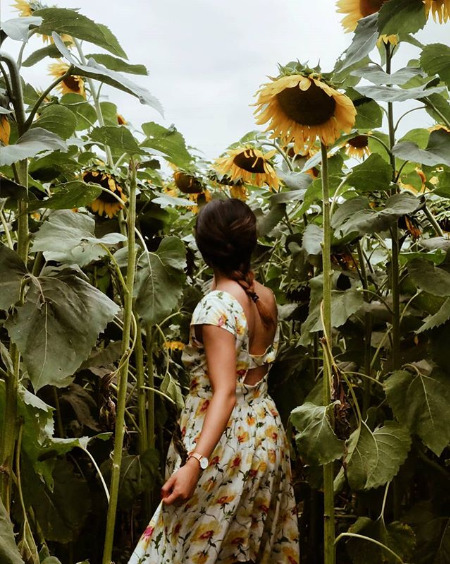 girlinthepark:  Melissa Lee | Buttonwood Farms Ice Cream, Griswold, CT. 