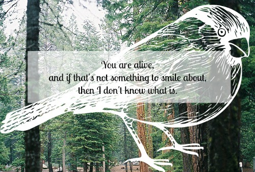 thelovenotebook:  EVERYTHING LOVE, LIFE & PERSONAL 