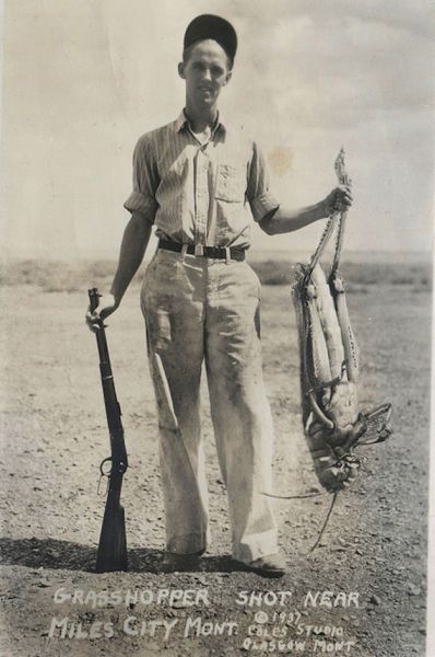 devilduck:Grasshopper shot near Miles City, Montana, 1937.