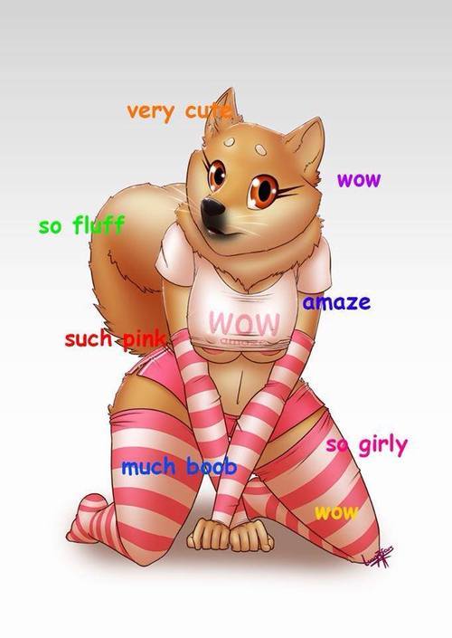 codepony:  louisely:  allkindsoffuck:    jfc why  Reblogging because why not.  OMG