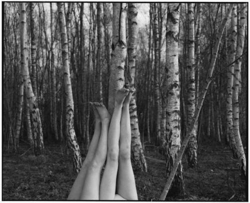 tauchner:Vikram Kushwah - What if These Were Legs