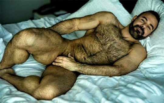 bent4beards:   The best beards found here! 