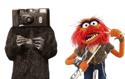Each Dialtown Cast Member Shares Their Favourite Muppet!