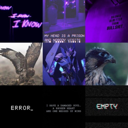 Tfp Decepticon Moodboards