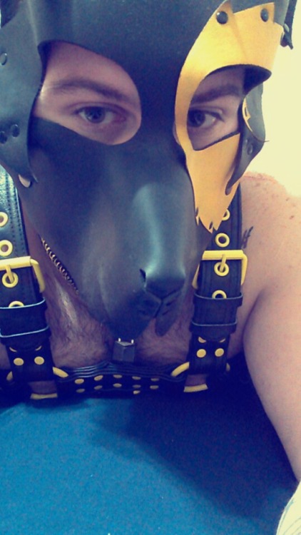 Sex thattrashypup:Felt like pupping out pictures