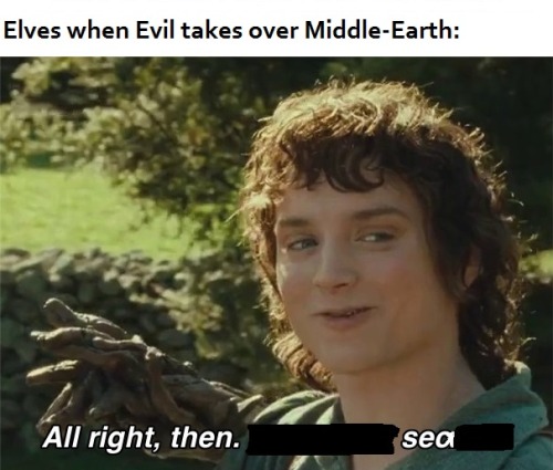 storminormins:what shall we have for entertainment mr frodo? we have quality memes, quality memes, a