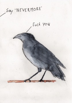 little-fire-art:  “Say ‘Nevermore,’” said Shadow.“Fuck you,” said the raven.” - American gods, by Neil Gaiman 