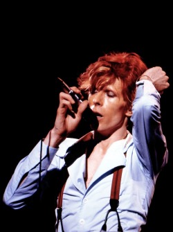 Bowiepills