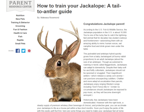 sigmabunny:cryptid-wendigo:For April Fools Day (2016), PetSmart added this one of a kind Jackalope c