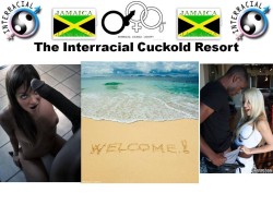 scdelv:  bbchungry:welovebigblackcocks:supportinterracial:The Interracial Cuckold Resort is great!http://www.blacktowhite.net/community/threads/she-needs-to-go-black.31933/ HELP TO BLACK HER!!WhiteGirlsLoveBlackGuys JungleFeverFriday SwedenGoneBlack 