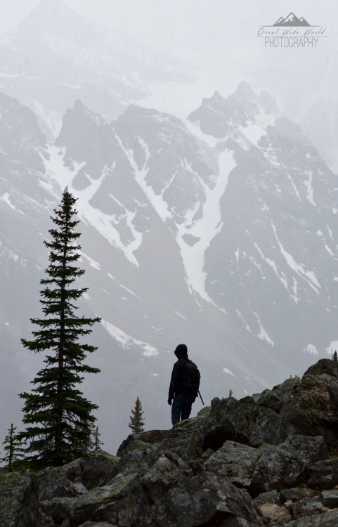 greatwideworldphoto:Best friends | Original by Great Wide World Photography Taken in Alberta, C