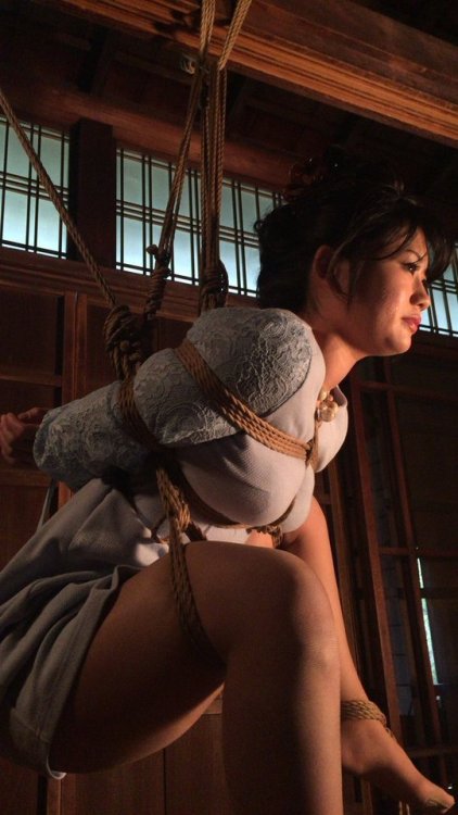 justscreenshots:  Shibari Kasumi HouraiModel Ichikawa Ichiru