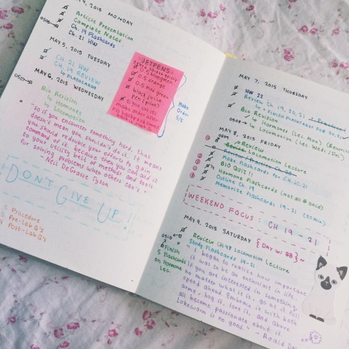 mintsprout:  a little peak inside my bullet journal 