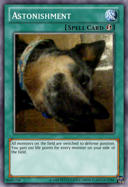 petyugiohcards