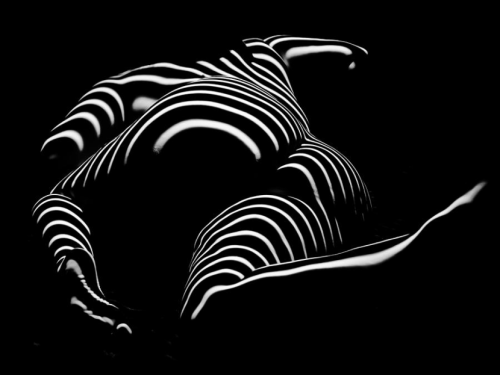 0758-ar Rear View Bbw Zebra Woman Large Full Figured Powerful Female Black And White Abstract by Chr