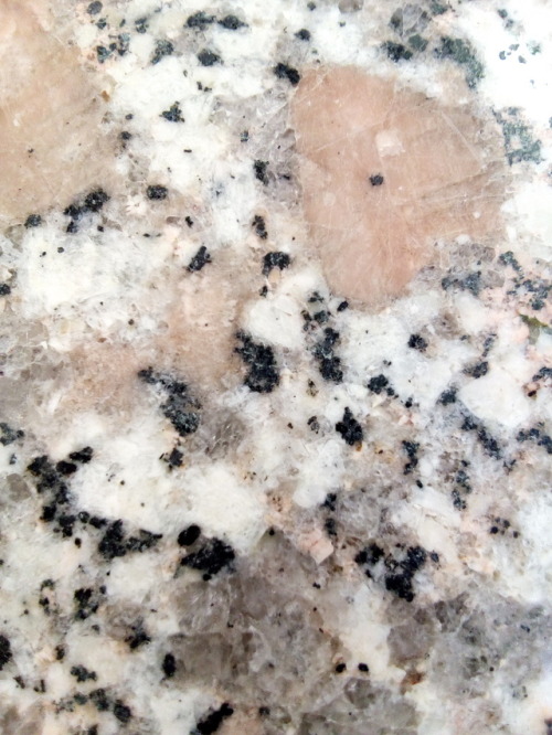 nothingelsematters79:Granite - Variation on a themeI think this is the countertop definition of gran