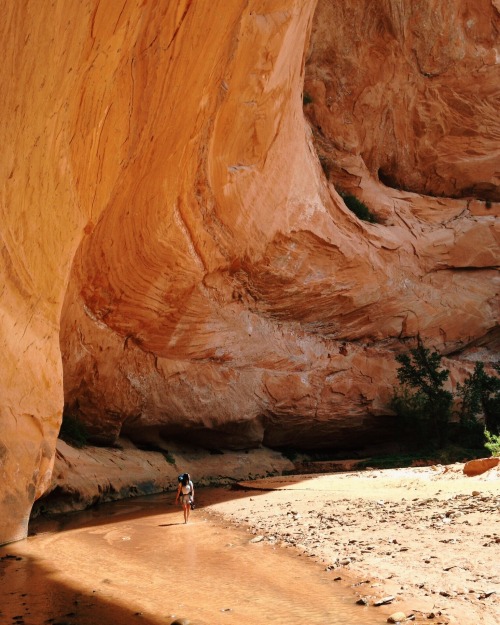 lasplayaslasmontanas:Backpacking in Escalante