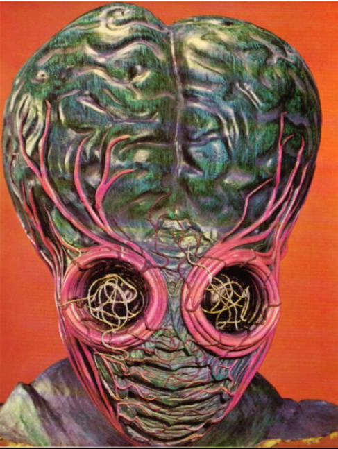 zgmfd:1966 Don Post calendar photos