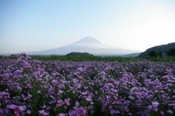 expressions-of-nature: Mt. Fuji by noe**