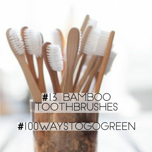 betterworldrebel: #13 bamboo toothbrushes Bamboo grows very fast, so it is the perfect material for 