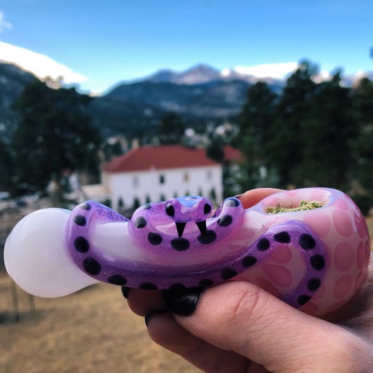 bakedlilbae:Snek 💜