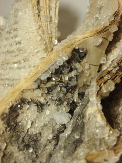 mysticplaces:  Crystallized Books | Alexis