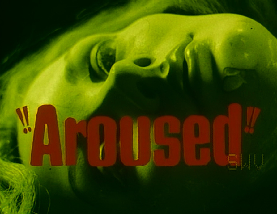 goregirlsdungeon:  AROUSED (1966) directed by Anton Holden
