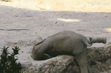 gifss-heaveen:   Like gifs? Visit my blog! !