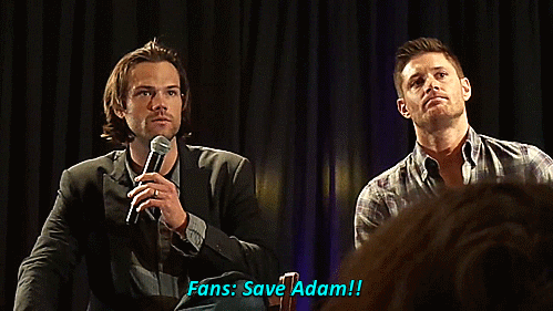 gayyyyyships:  poor adam 