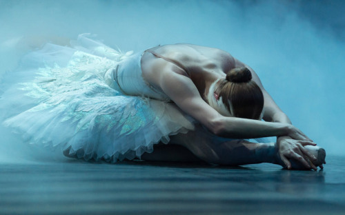 englishpearl:the English National Ballet’s production of Swan Lake at the London Coliseum