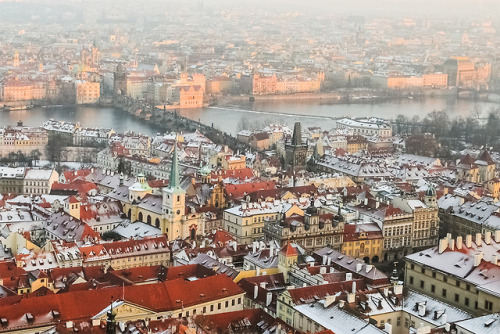 Things to do in Prague&hellip;Enjoy the panoramic view from the top of St Vitus CathedralPrague | Wi