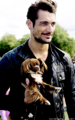 david-james-gandy:  David & Dogs  *Swoon*