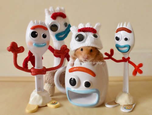 hamsters-in-cups
