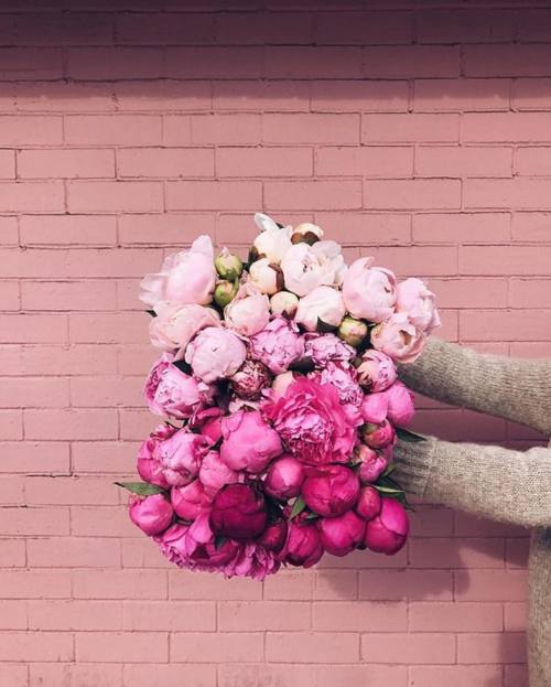 Blooms like this all day, everyday. @juliahengel ・・・ #peonies #sfflowermart #ombre #pink #sanfrancis