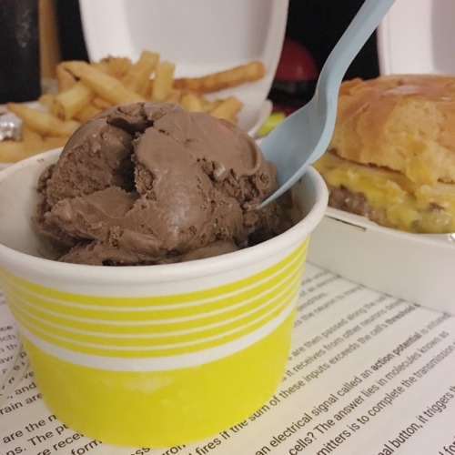 May 5, 2017 | 11:22pmRemedy for finals week: burgers, fries, and of course –chocolate ice cr