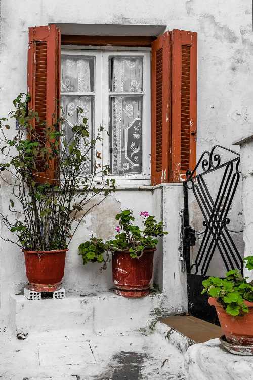 Colors of The Plaka: White II