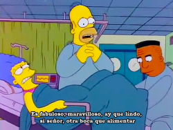 Los Simpsons