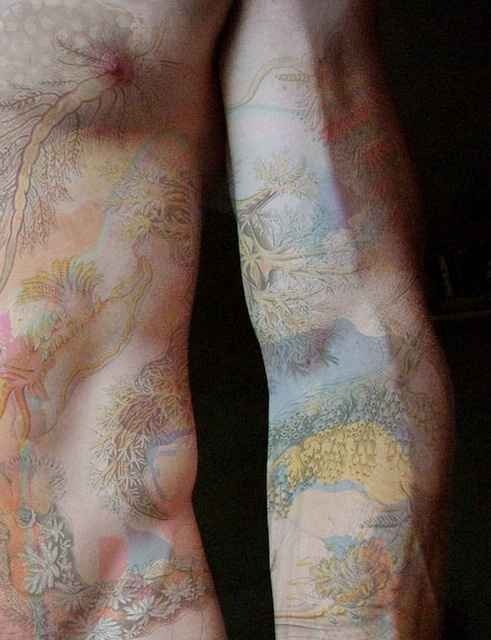 kittison:A collection of nature-inspired tattoos.