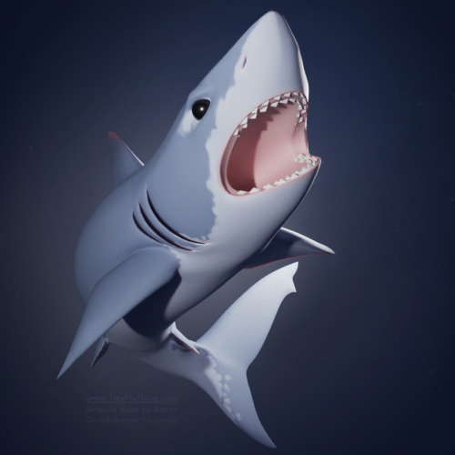 Poly-modeled a shark and my husband helped me rig it :D Shaaaaaaaark!