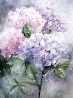 floralls:floral watercolors by   Yvonne Harry