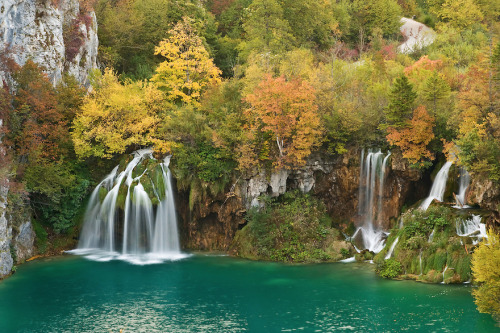 a-precis:  nubbsgalore:  the interconnected and cascading lakes and waterfalls of croatia’s plitvice national park. photos by (click pic) maurizio biancarelli, lee duguid, dominik kirner, sinisa klekovic and andrea pozzi  GUYS, IVE BEEN HERE
