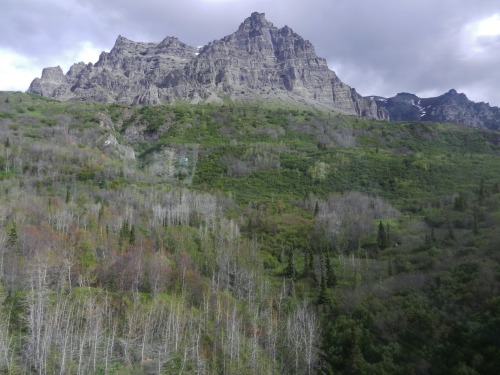 oosik: Castle Mountain: Chickaloon, Alaska Doing a little survey under the shadow of Castle Mountain