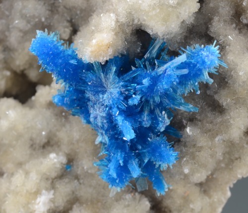 Pentagonite on microcrystalline Stilbite - Wagholi, India